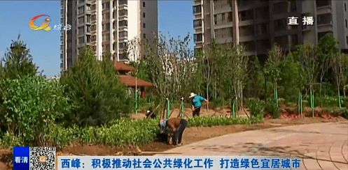 西峰區 積極推動社會公共綠化工作，全力打造綠色宜居城市
