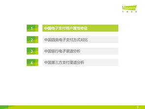 2015年中國(guó)電子支付用戶研究報(bào)告 電子支付密碼系統(tǒng)產(chǎn)品趨勢(shì)分析